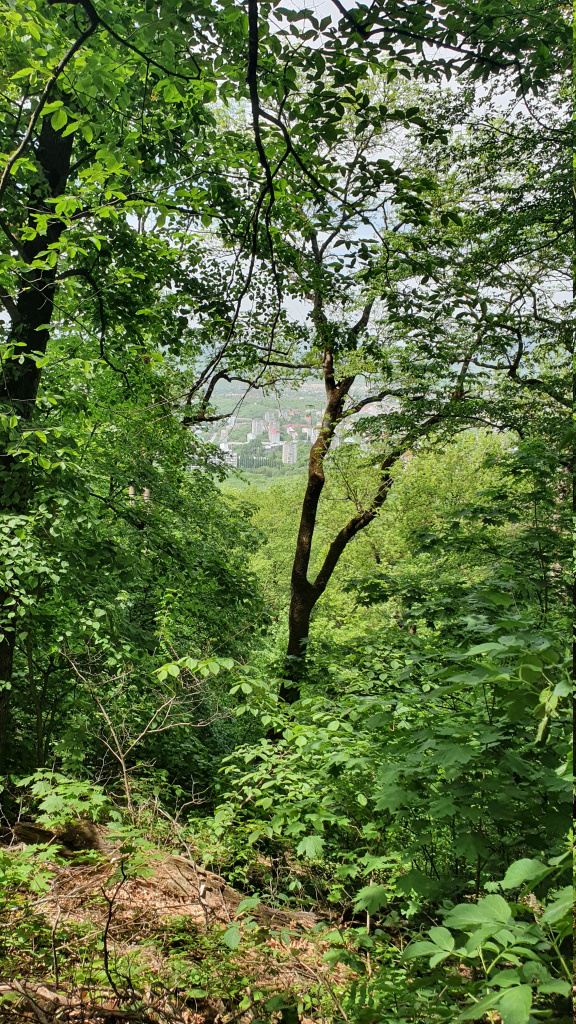 20210517_122333.jpg